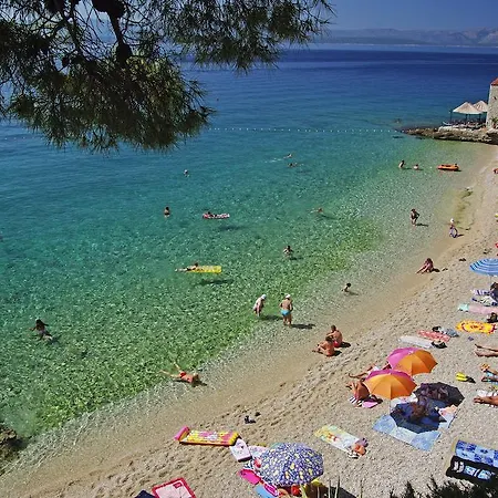 Homes Oliva Bol