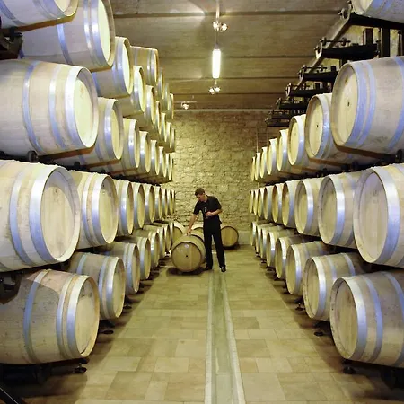 Homes Oliva Casa vacanze Bol